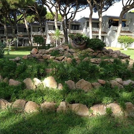 Buganvilia Apartment Praia Da Falesia Albufeira Eksteriør bilde