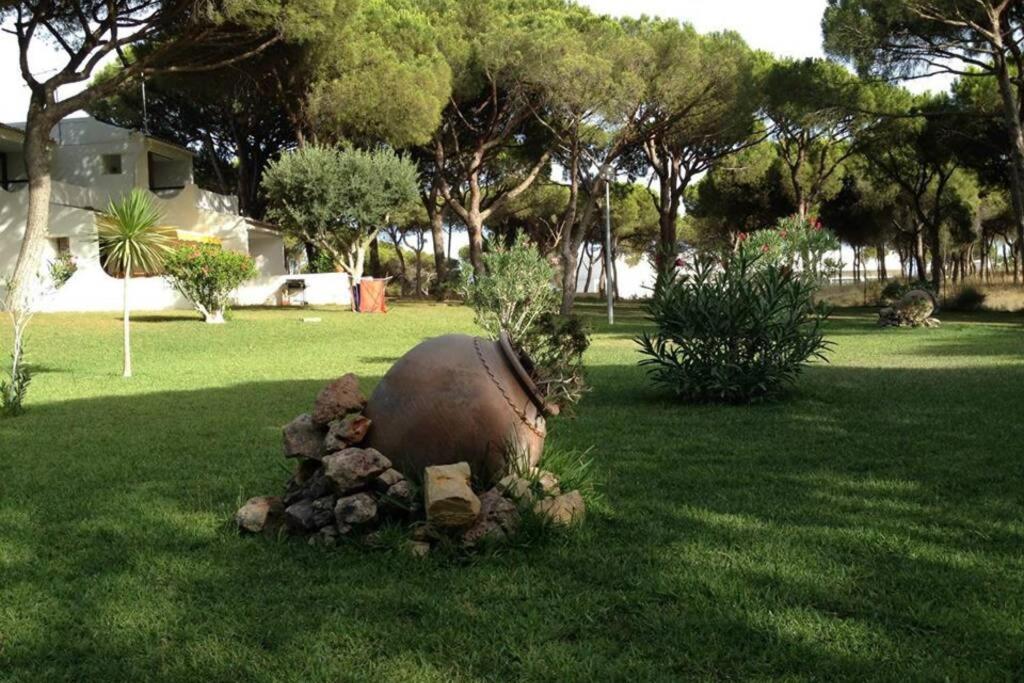 Buganvilia Apartment Praia Da Falesia Albufeira Eksteriør bilde