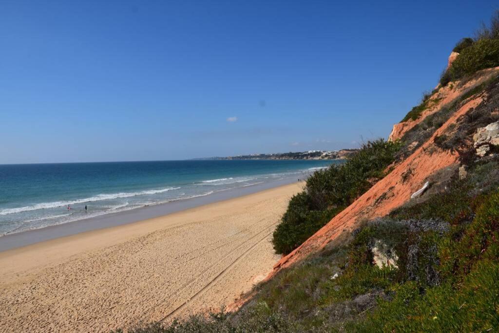 Buganvilia Apartment Praia Da Falesia Albufeira Eksteriør bilde